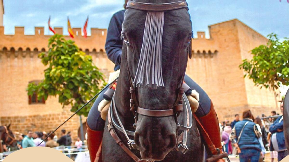 feria-Caballo-de-marcilla