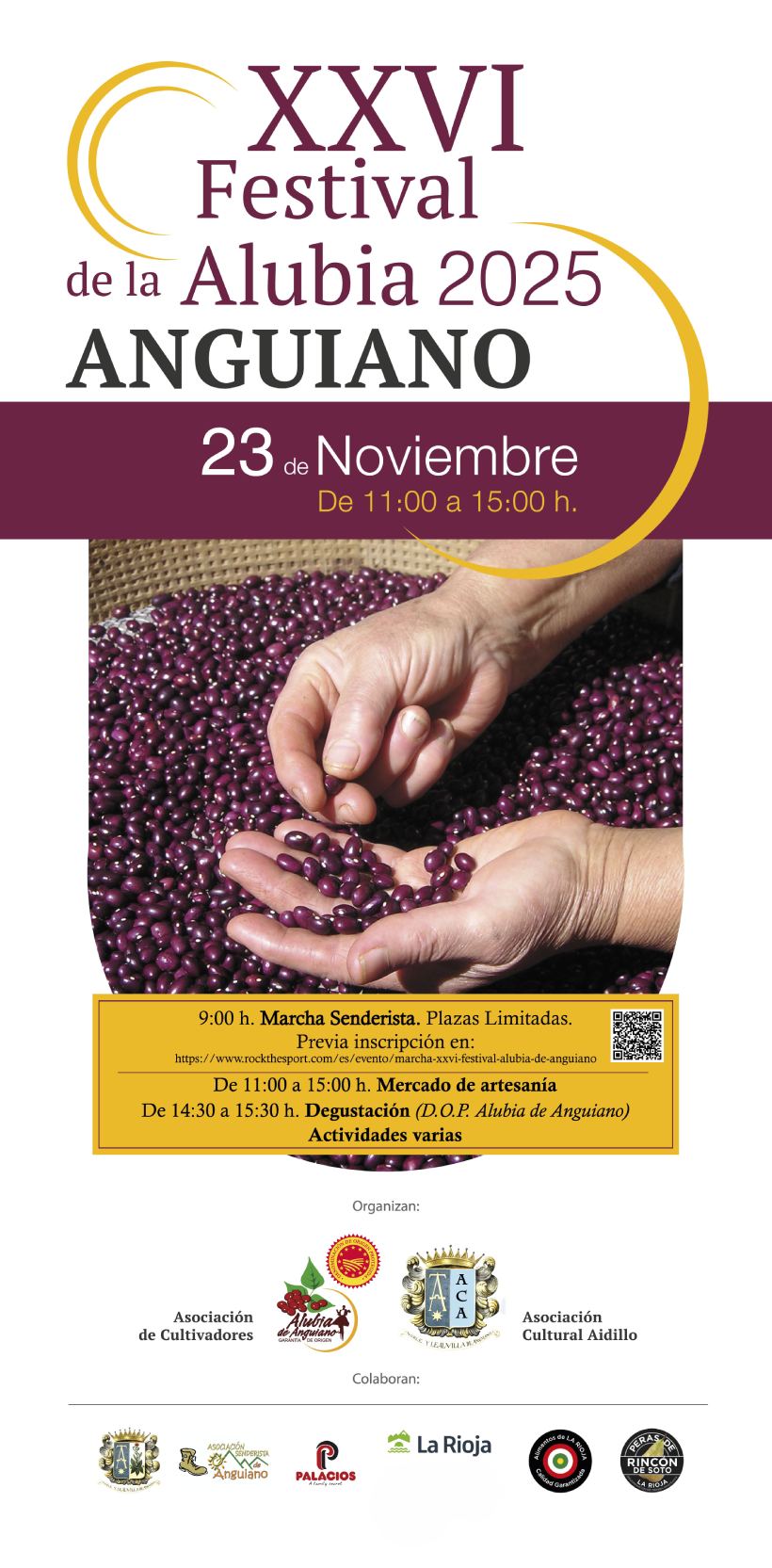 Cartel festival alubia anguiano 2025