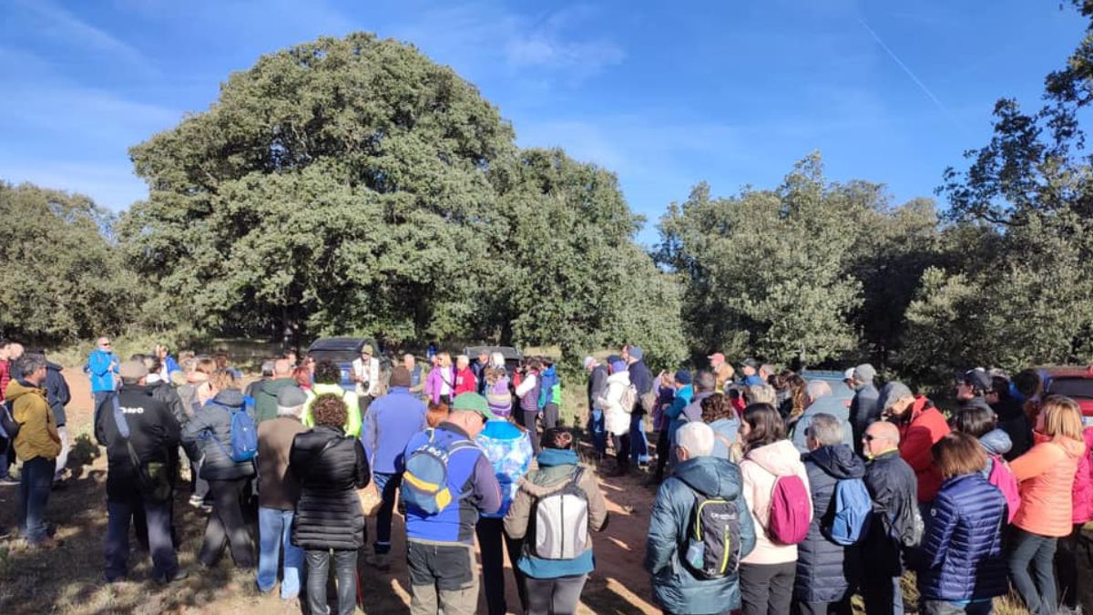 jornadas micologicas Villarroya