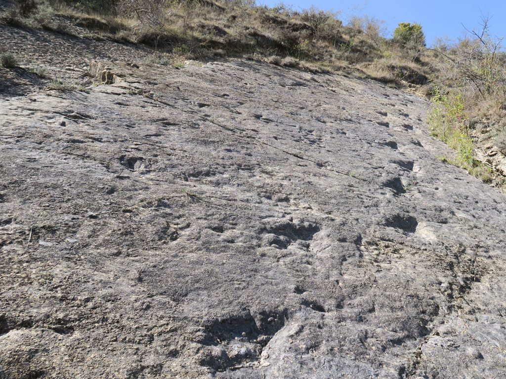 Foto: Centro de Interpretación de Enciso