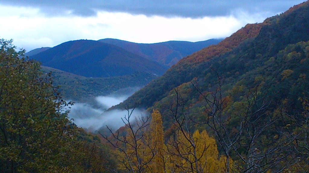 Sendero de Valvanera. Foto: Pasea La Rioja